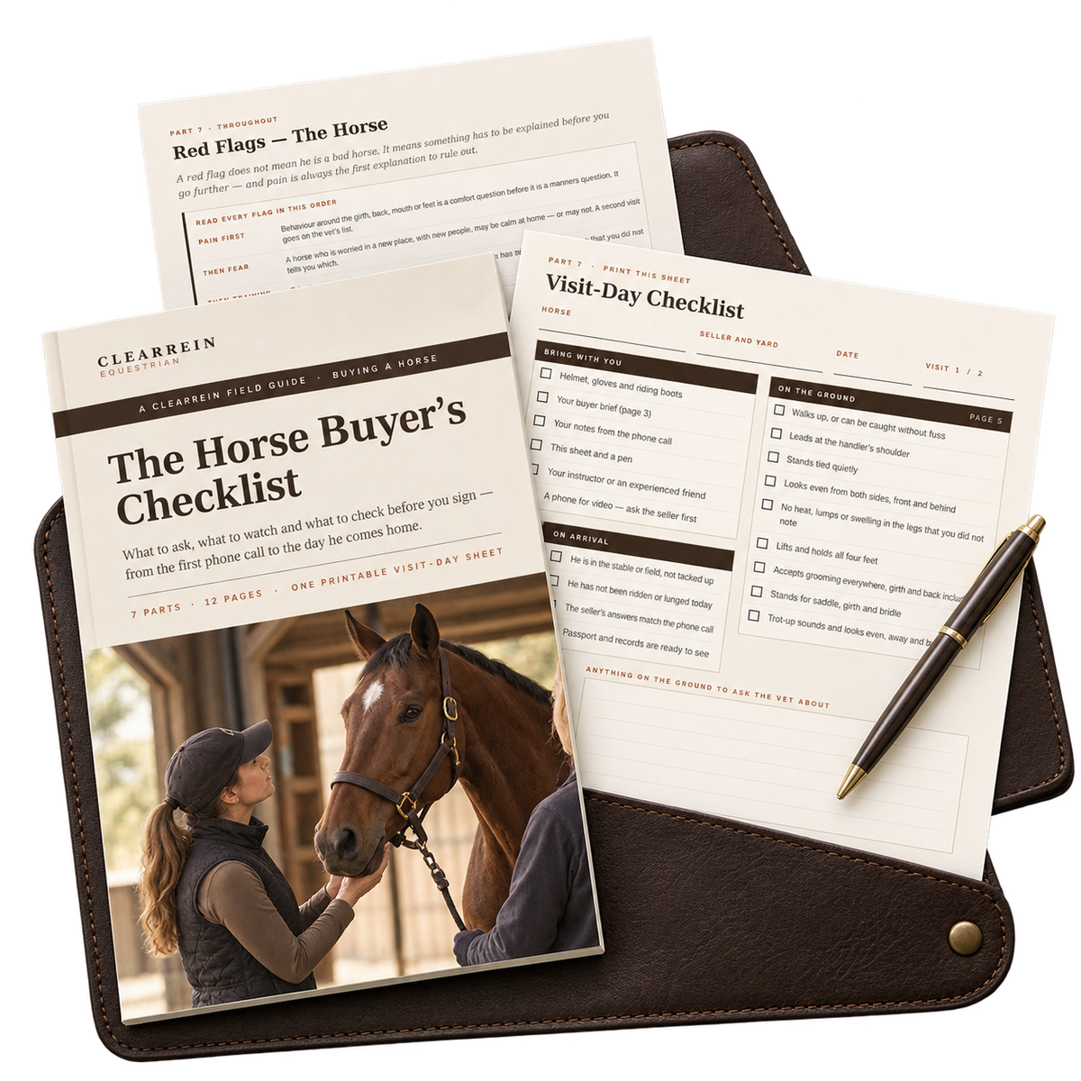 The Horse Buyer's Checklist